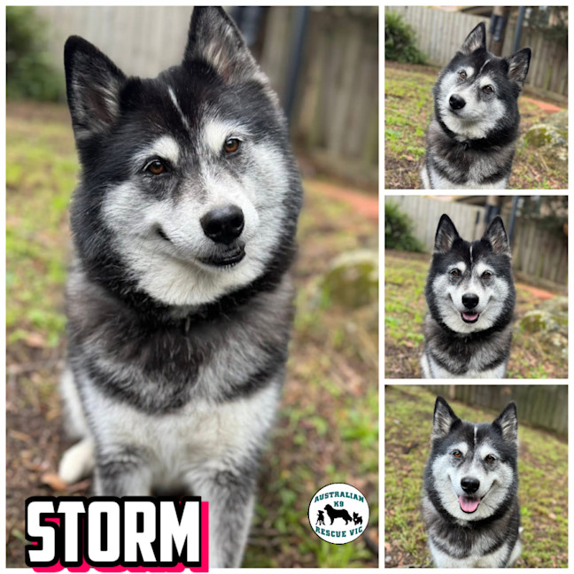 Photo of Storm 