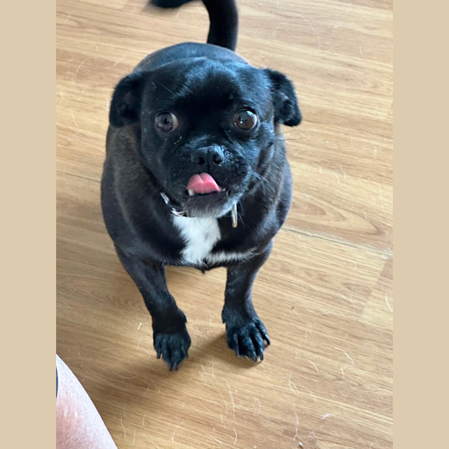 Photo of Christopher 