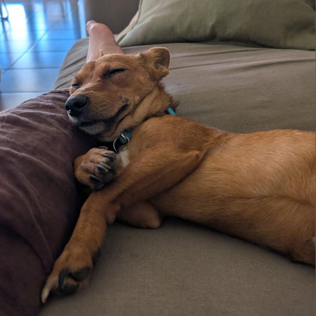 Photo of Rylo