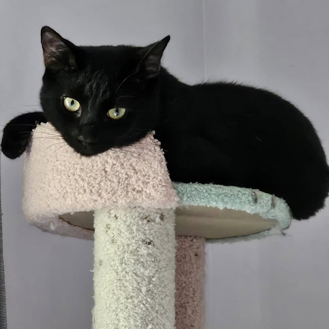 Photo of Halle Berry