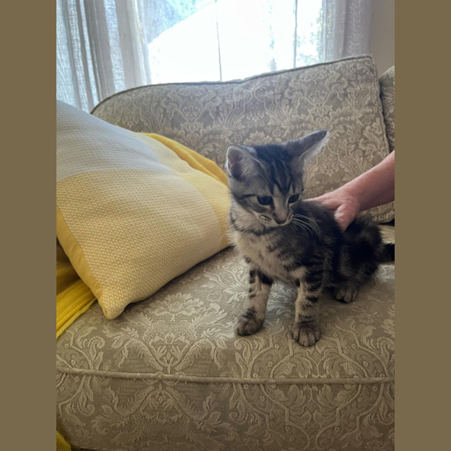 Photo of Eunice & Blanche 