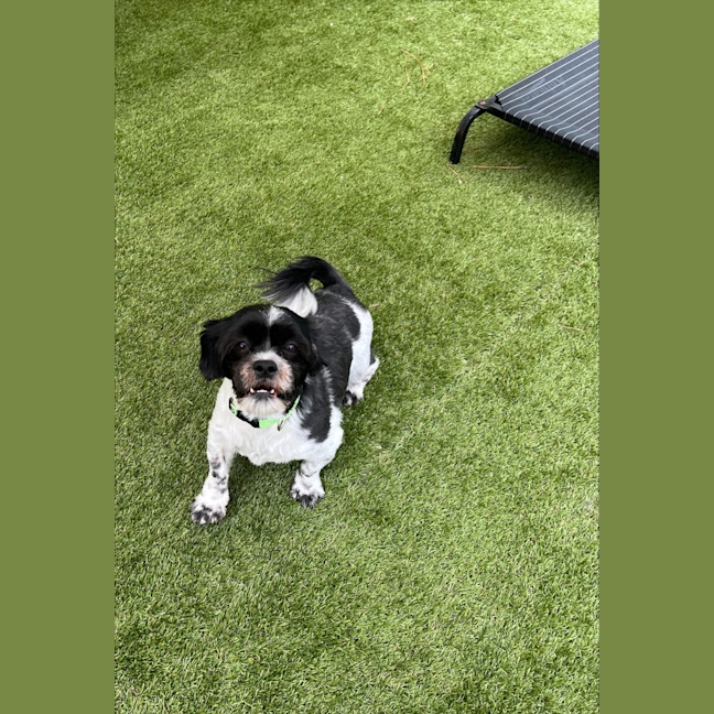 Photo of Bonded Sisters