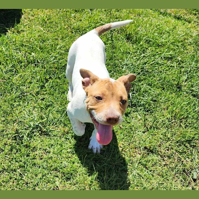 Photo of Anastasia (64504)