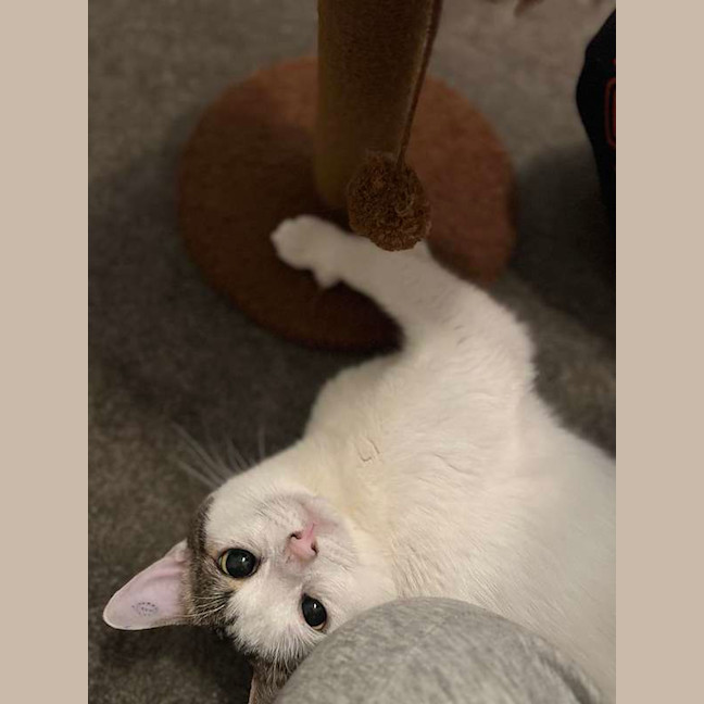 Photo of Smoosh