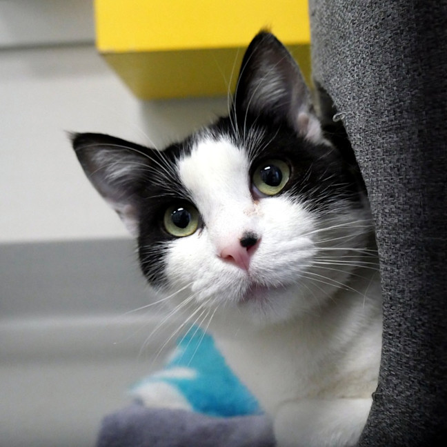 Photo of Max Sta013690