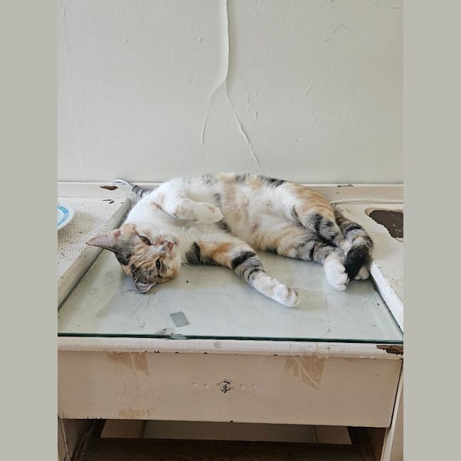 Photo of Matilda