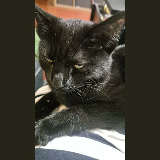 Photo of Luna U2026108
