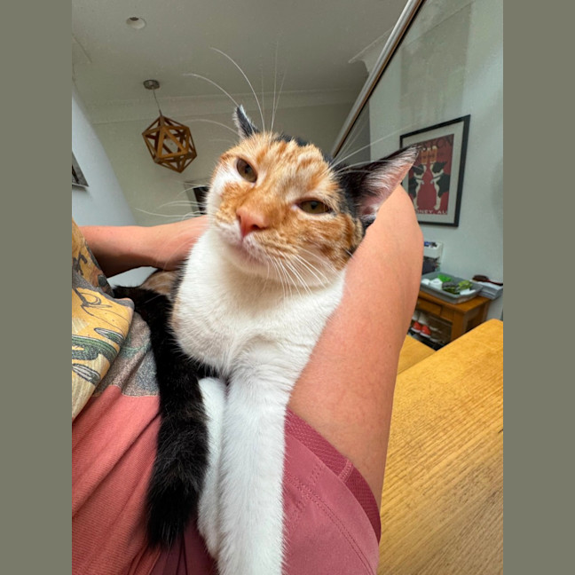 Photo of Lulu