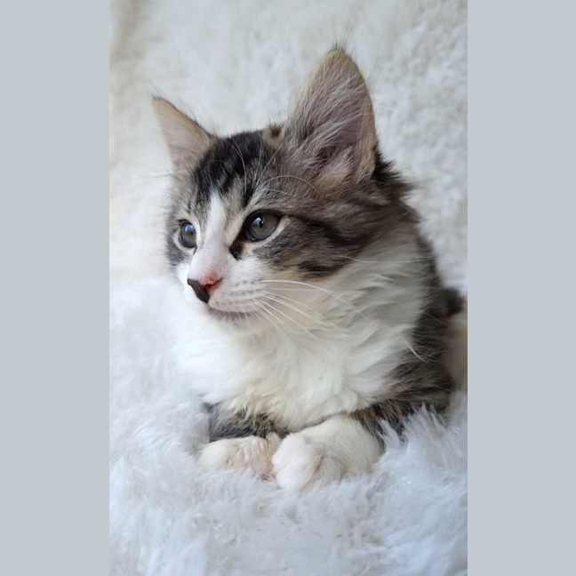 Photo of Charlotte