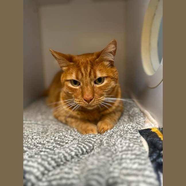 Photo of Tiberius