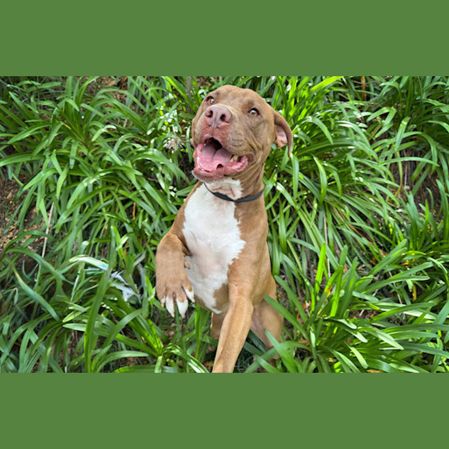 Photo of Turbo