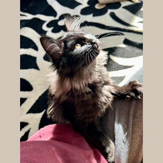 Photo of Lumos   Located In Lower Plenty