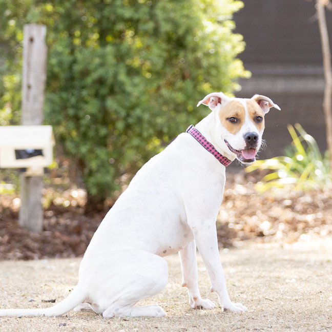 Photo of Marnie