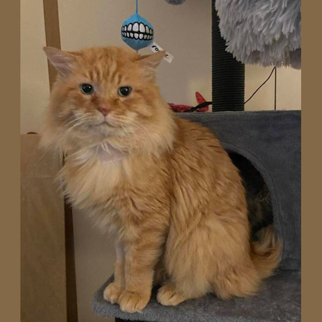 Photo of Bobby