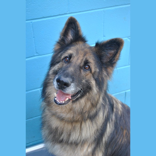 Photo of Axel