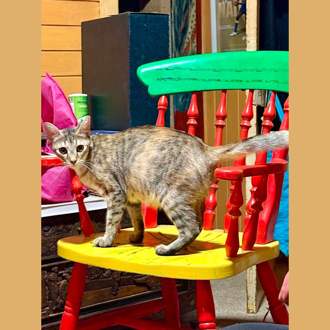 Photo of Mia