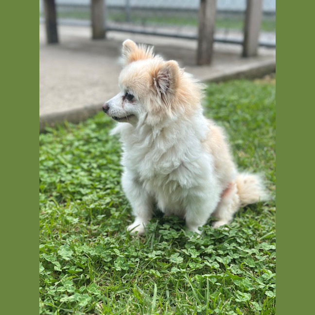 Photo of Khloee