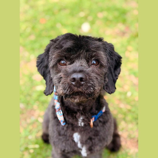 Photo of Bernard