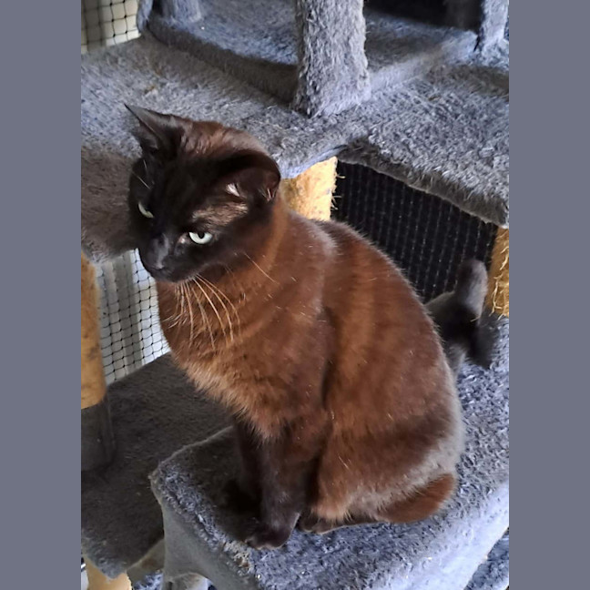 Photo of Milo
