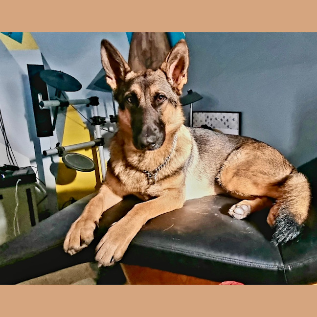 Photo of Mia