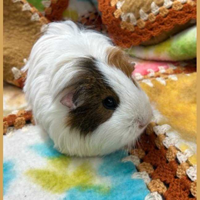 Photo of Hope
