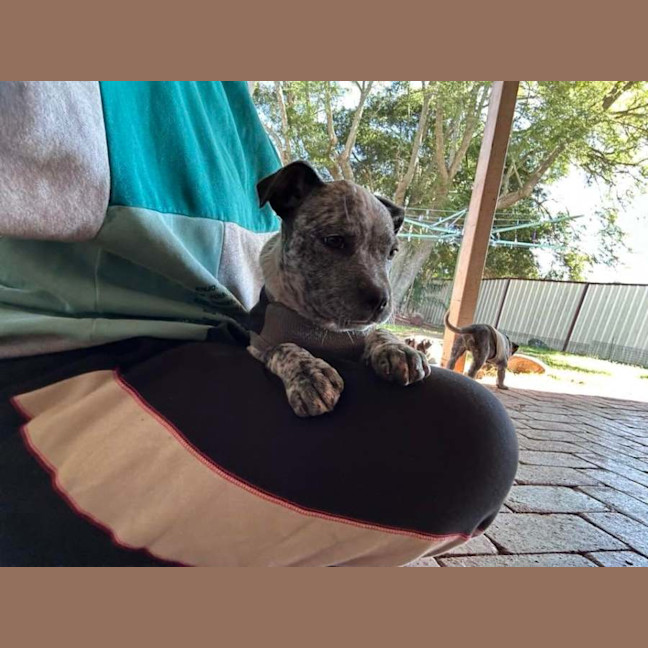 Photo of Sally