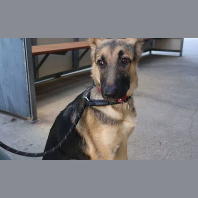 Photo of Artemis