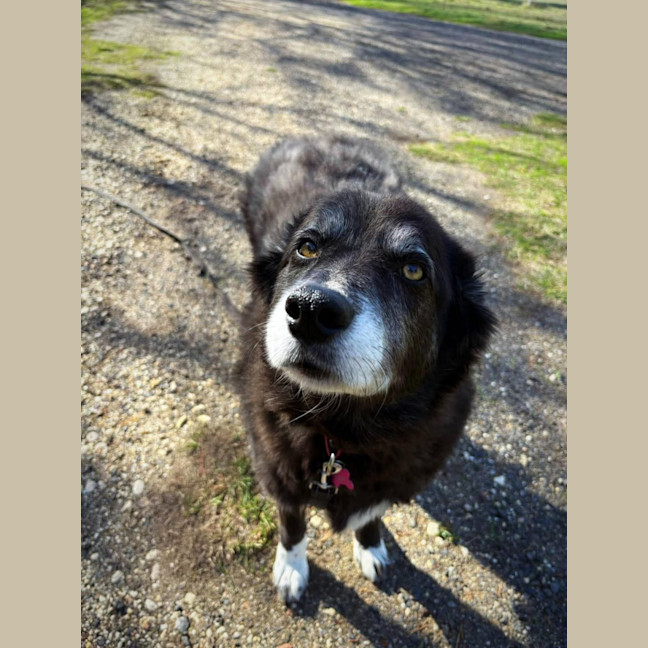 Photo of Susie