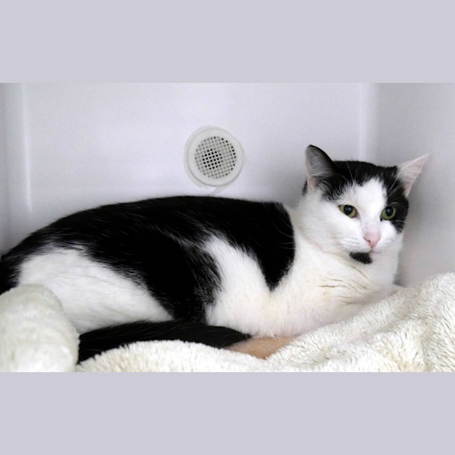 Photo of Sunny Rsta011322