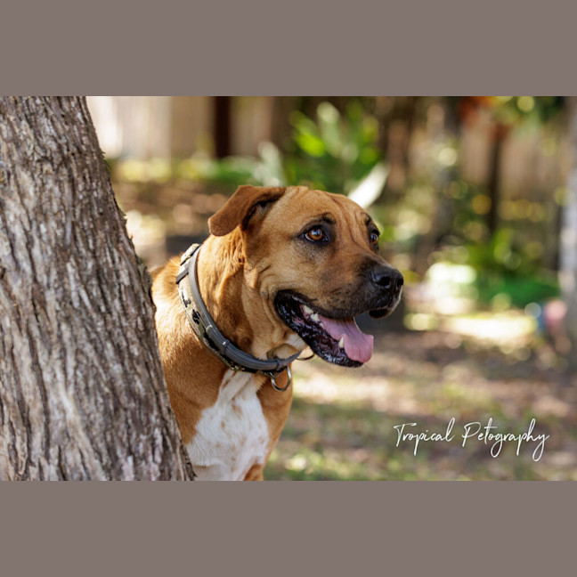 Photo of Ruby