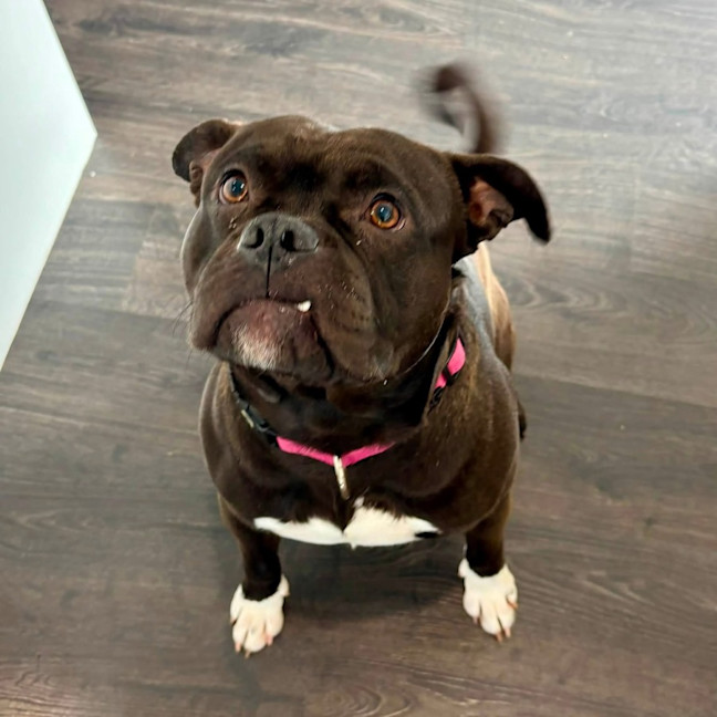 Photo of Rukkus