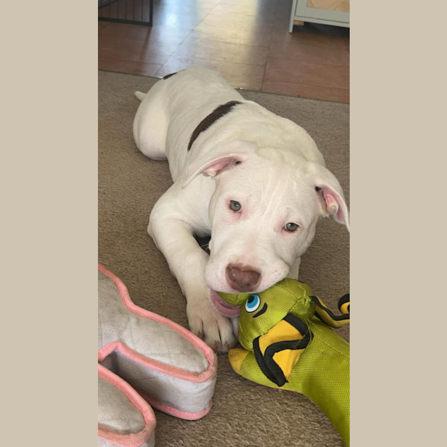 Photo of ❄️ Snowy ❄️