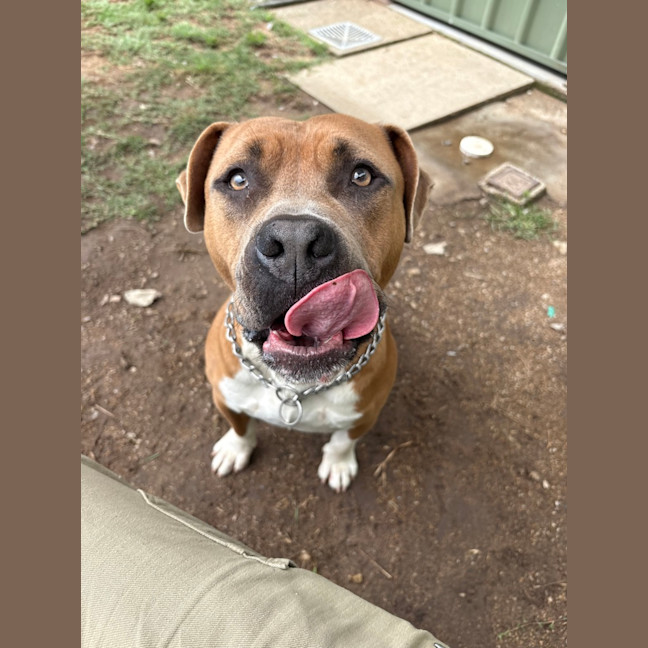 Photo of Yogi