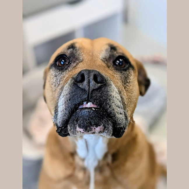 Photo of 💅 Lexi 6188 💅