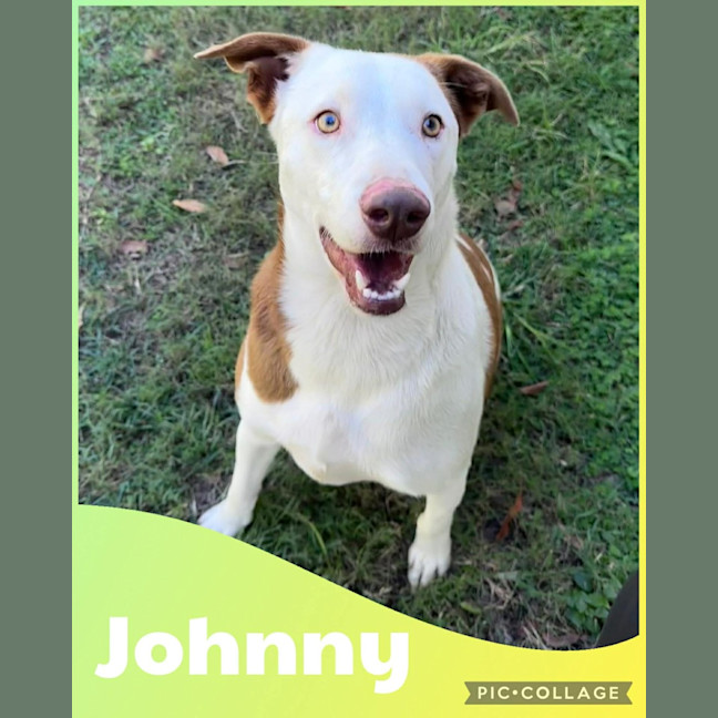 Photo of Johnny