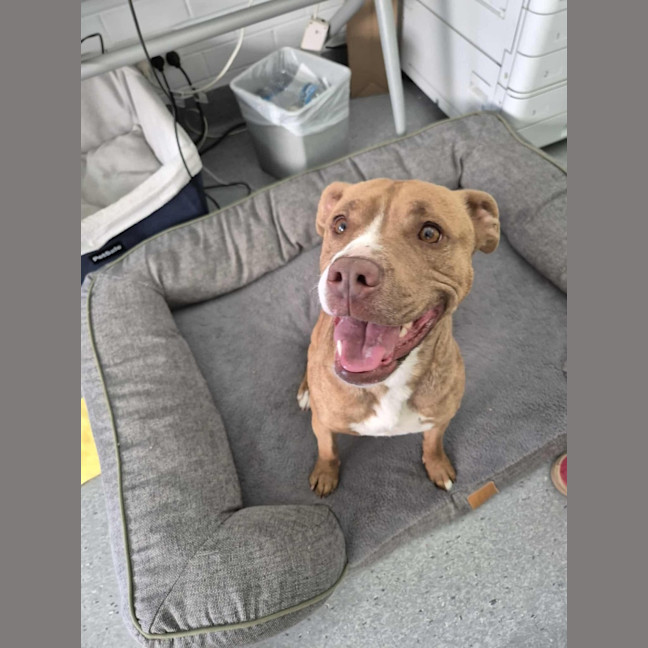 Photo of Skylar! 🌈