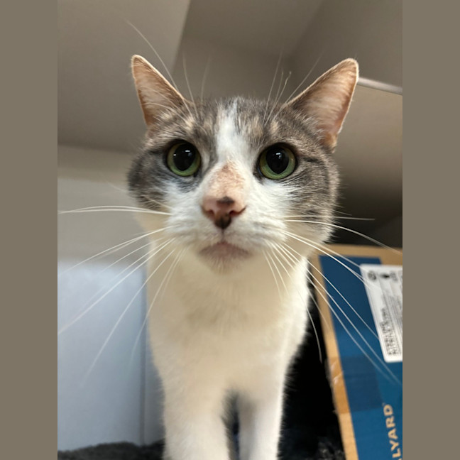 Photo of Heidi