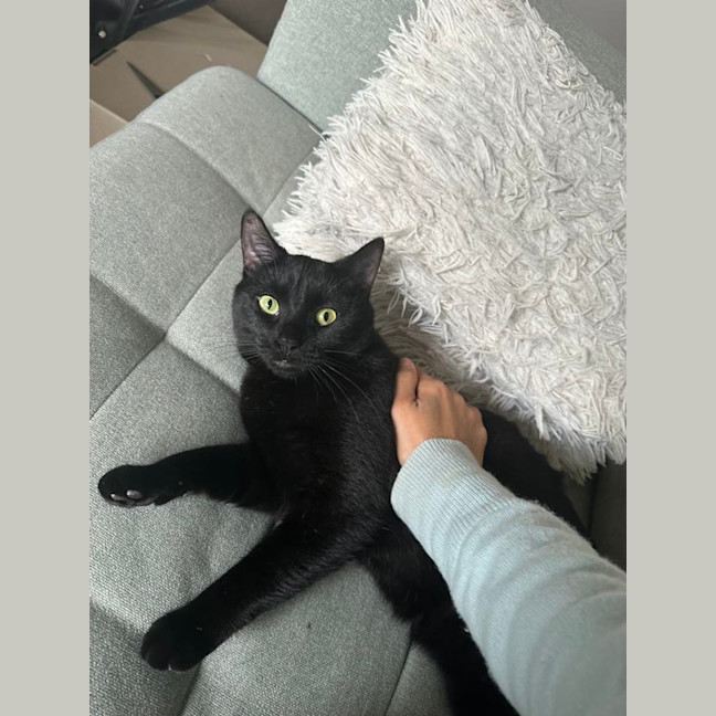 Photo of Milo   Malvern 