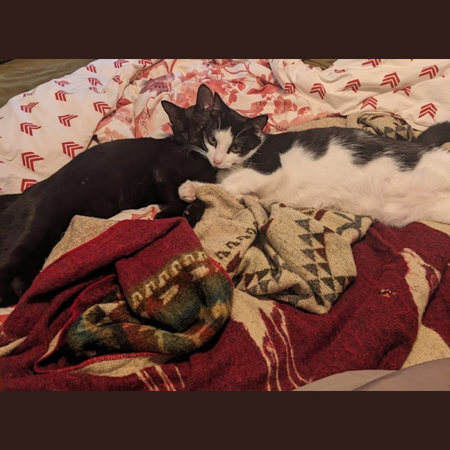 Photo of Lucky And Sosage