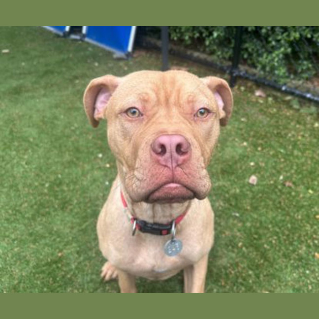 Photo of Bruce Bogtrotter