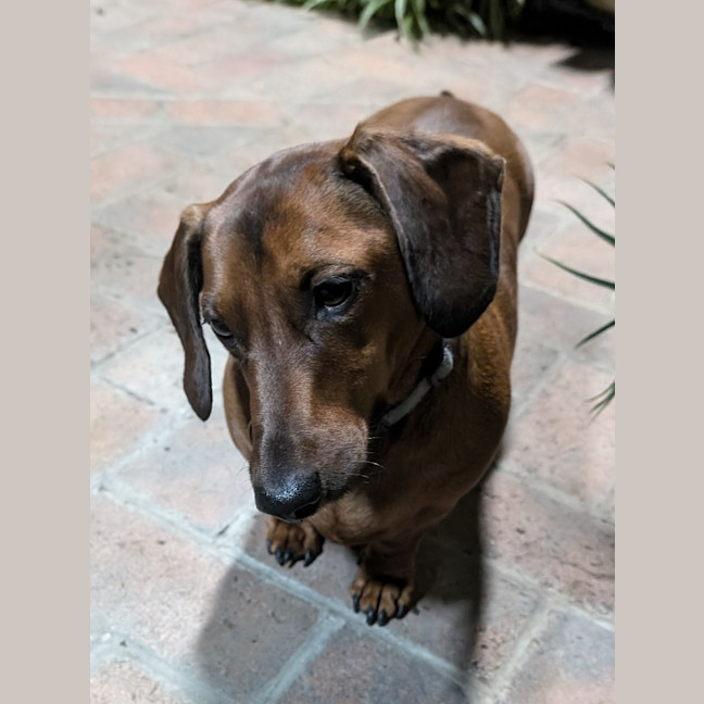 Photo of Harry / Sally