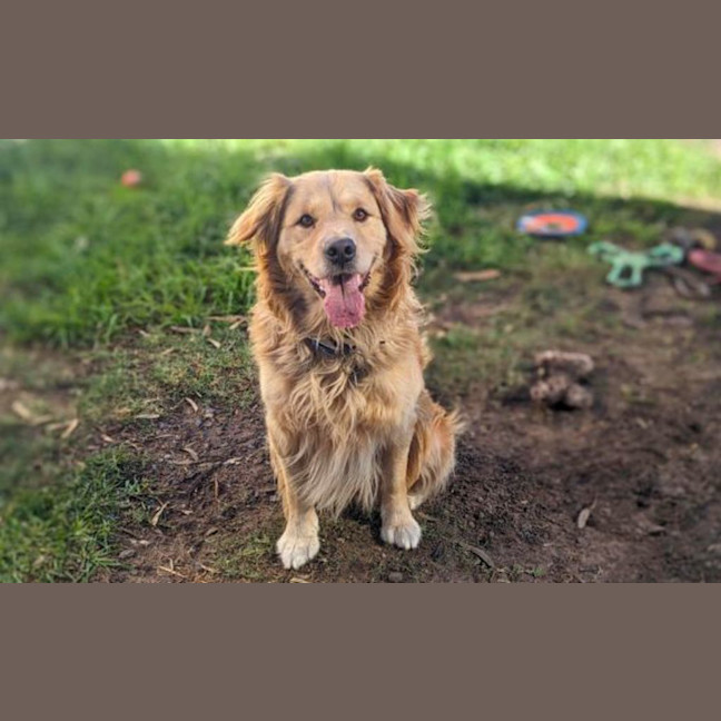 Photo of Melo