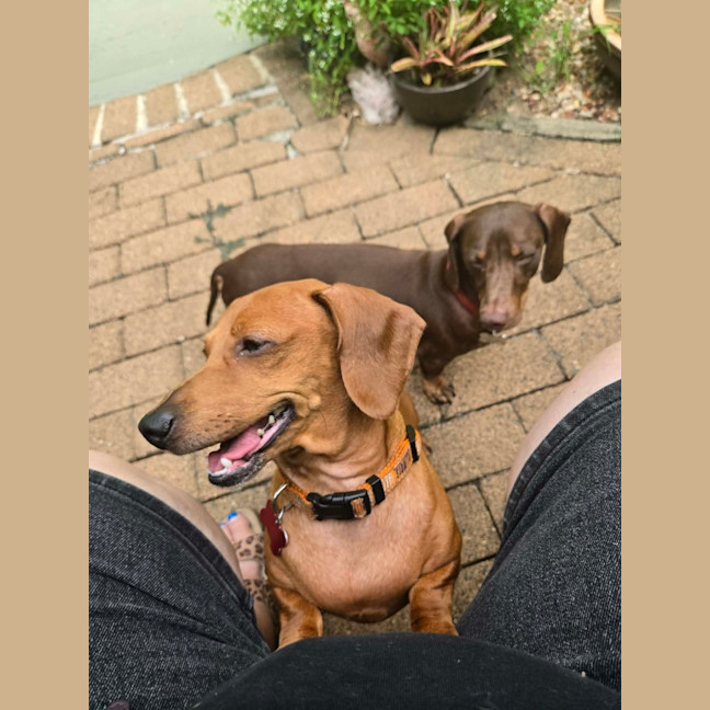 Photo of Bentley And Paulina