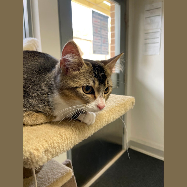 Photo of 🍤 Finkle 5898 🍤