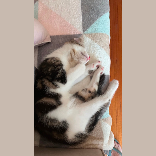 Photo of Jasper