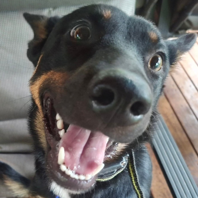 Photo of Ruby