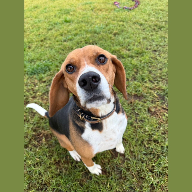 Photo of Sammi