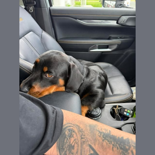 Photo of Zeus