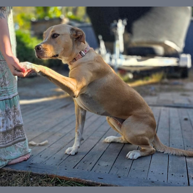 Photo of Cali