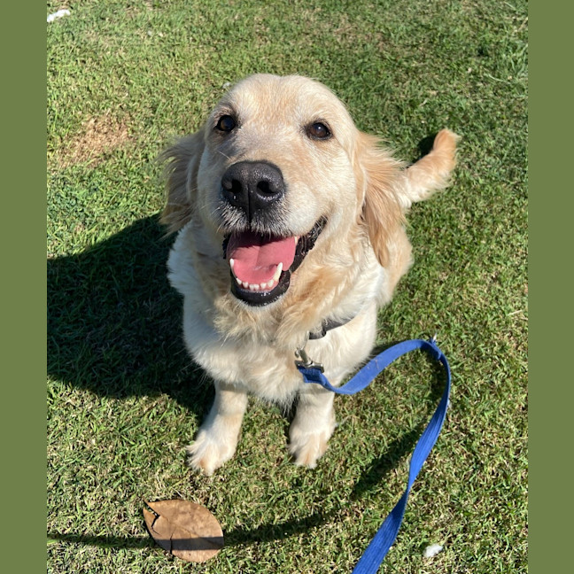 Photo of Molly